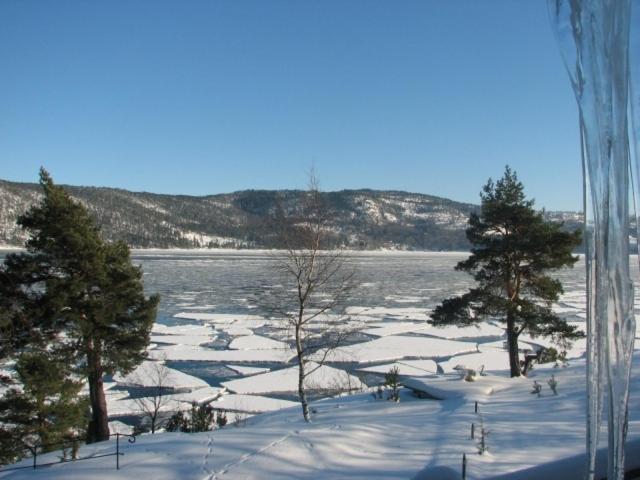 Villa Rorvik Svelvik المظهر الخارجي الصورة